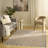 Capodilupo Rust Multicolor Modern Indoor Rug-2101007664