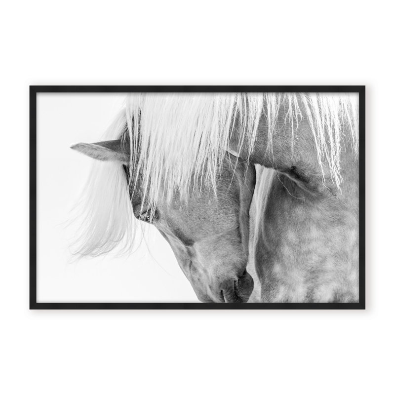 Nature Inspired Halflinger Portrait by  - Picture Frame Photograph on Paper, 32" H x 48" W x 1.125" D, Framed Matted Print