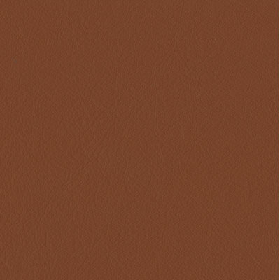 Elan Saddle Sample