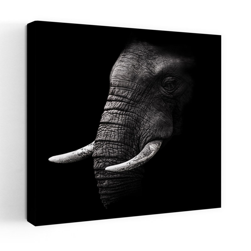 Art contemporain Art éléphant contemporain, H 48 po x l 48 po