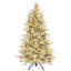 Christmas Tree-1369750475