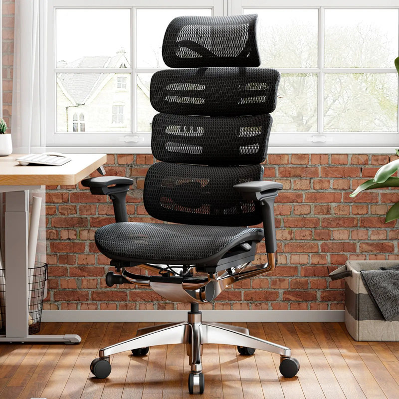OdinLake O2 (Ergo MAX 747) | Three-Section Backrest Ergonomic Chair