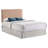 Lauden Upholstered Headboard-1061289658