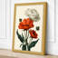 Three Gerbera Bloom Botanical - Wrapped Canvas-1371165693-1371165694
