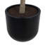 TREE MONEY POT 7FT
