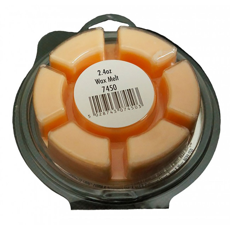 Ginger Fizz Scented Wax Melt