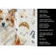 Tan Icelandic Sheepdog Coffee Bar Kitchen Towel-1234934307