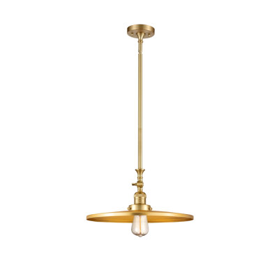 Luminaire suspendu simple à 1 lumière Weston