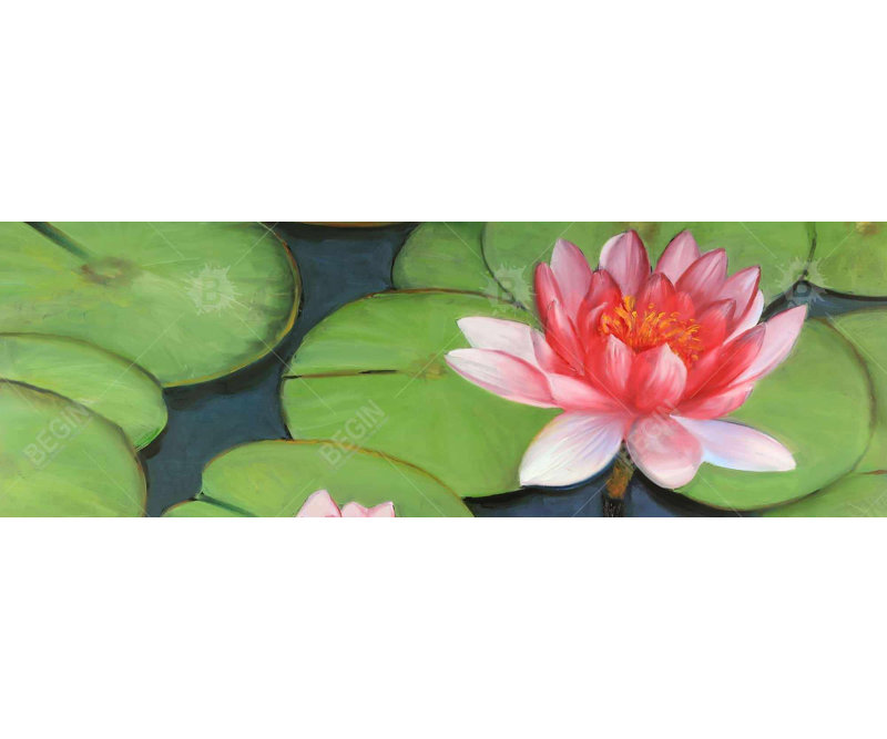 Fleurs de lotus dans un marais - Toile florale pour la décoration intérieure