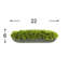 Arrangement Corder Moss In Fiberstone-113002687-112842974
