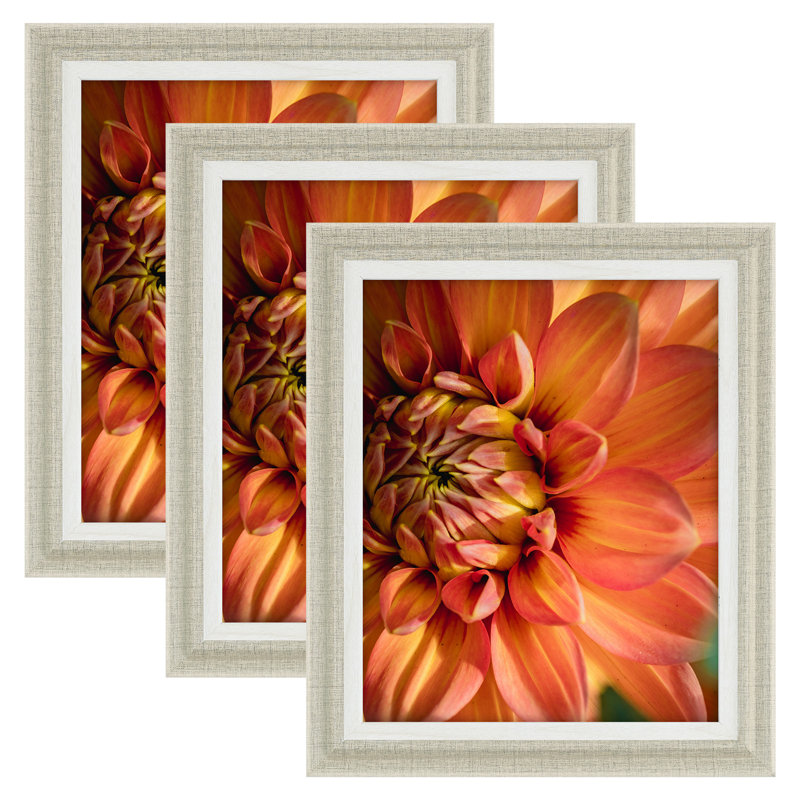 Cadres photo modernes - Cadres de présentation pour le mur ou la table | Décoration pour la maison et le bureau, 8 po x 10 po