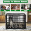 Caisse pour chien