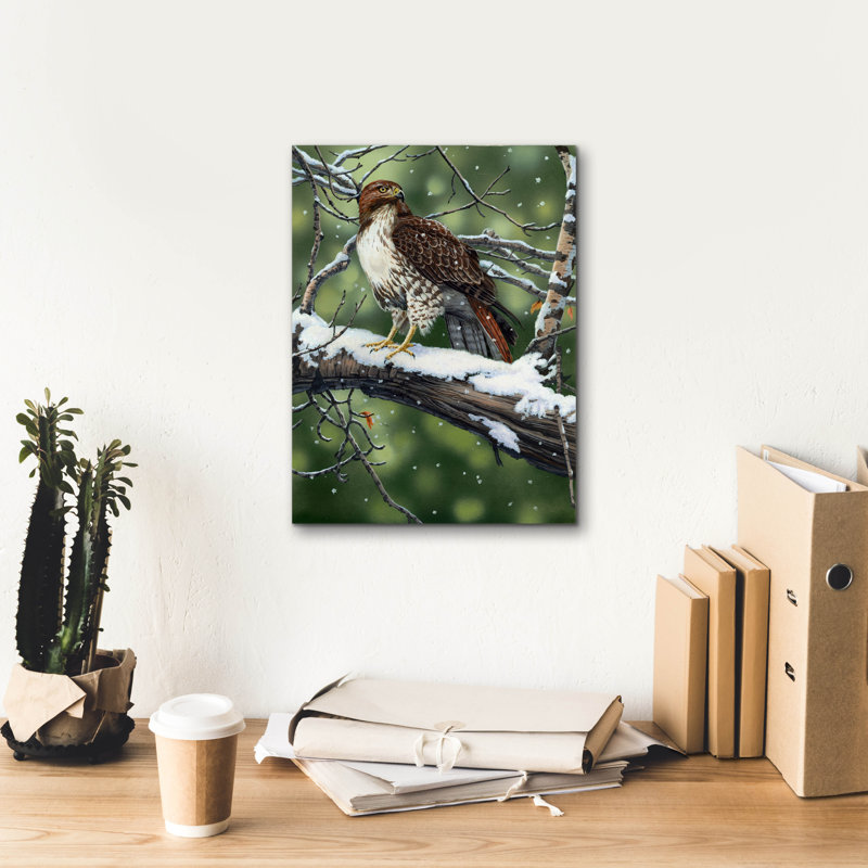 «Red Tailed Hawk» par William Vanderdasson, H 16 po x l 12 po x P 0,75 po