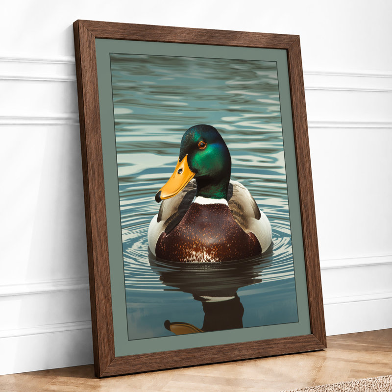 Mallard On Still Water Coastal - Print, A2 - 59.4 x 42.0 cm, Walnut
