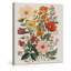 Boho Wildflower Wall Art Floral Floral botanique affiche peinture Boho Wall Decor pour bureau à domicile chambre salon 8 x 10 pouces toile encadrée