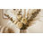 Modern Glass Vase with Sculptural Oval Pattern Design for Home Table Decor - Decorative Tall Flower Vase Accent for Shelf, or Living Room Styling - Tan-421784565