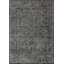 Rapture Oriental Area Rug-1859250063