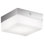 Blox Acrylic LED Flush Mount