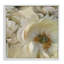 Art de giclée sur pétales de magnolia enroulés par Carol Robinson-1609149856-1609149857