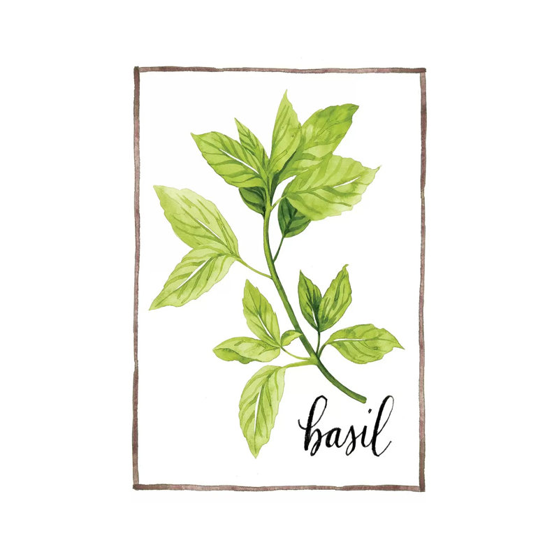 Watercolour Herbs I - Wrapped Canvas Print, 66.04 cm H x 45.72 cm W