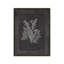 «Lavendar Botanical on Black» par Cindy Jacobs, reproduction d'art-133720037-133720045-133720047