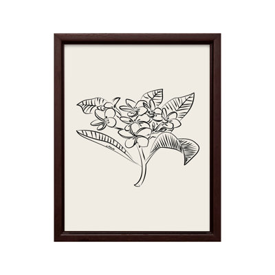 Plumeria Flower Sketch