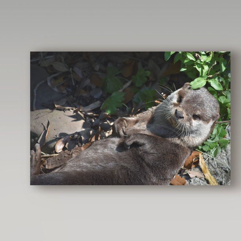 « panneaux », reproduction de photo sur toile tendue, H 30 po x l 47 po x P 2 po