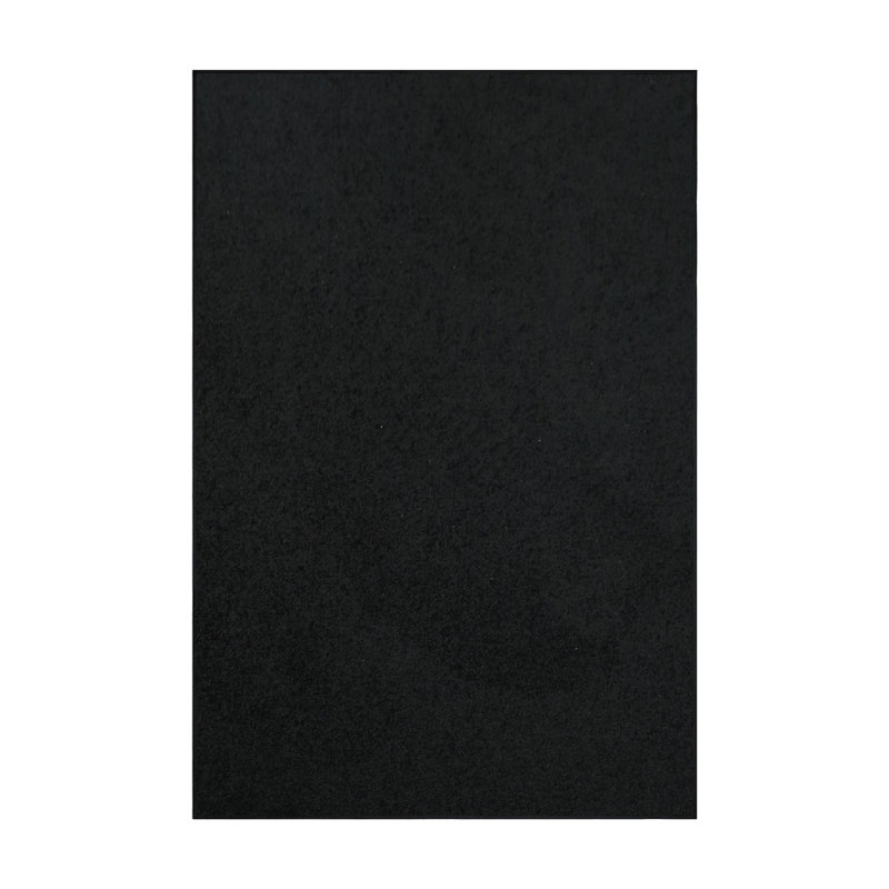 Modern Plush Pet and Kids Friendly Solid Color Area Rugs, Stain & Fade Resistance, Bedroom, Playroom and Kidsroom, Event, Wedding, Perfect for Living Room, Dining Room, Black Rug
