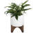 Tierney Ceramic Pot Planter-1840899777
