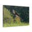 No Frame Print on Canvas-628834031