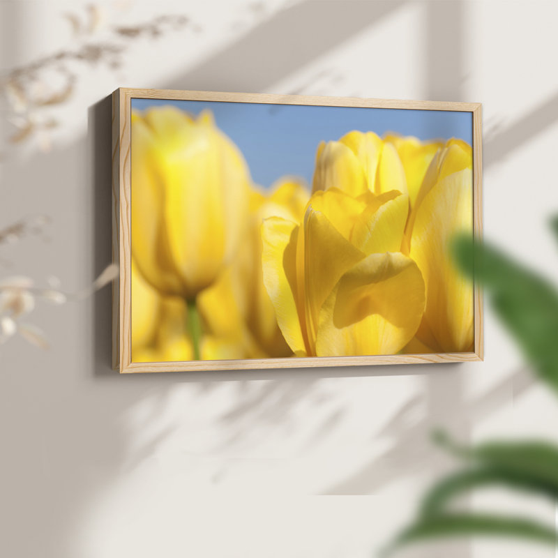 Sunshine Yellow I -Framed Print - Restickable, Natural, 16" H x 20" W
