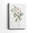 Mountain Laurel I -Gallery Wrapped Cavas-1145549880