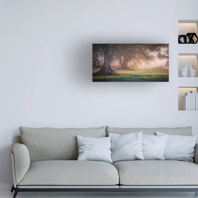 Jimmy Hoffman Autumn In Catalonia Canvas Art