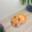 Stoneware Round 4 Piece Coaster Set-96239362