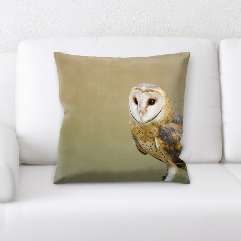 Coussin de grange hibou