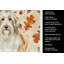 Serviette de cuisine tricolore Sheltie-2083472837