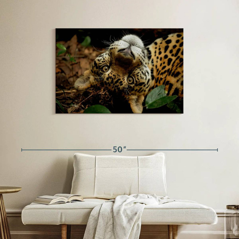 Brampt Lovable Jaguar, 26" H x 39" W