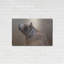 «Big Bear» par Karen Smith-1615901802