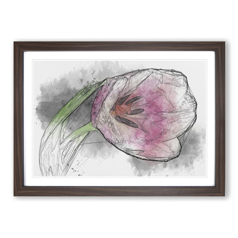 Pink Tulip Sketch - Picture Frame Graphic Art Print, 40cm H x 60cm W x 2cm D, Walnut Framed