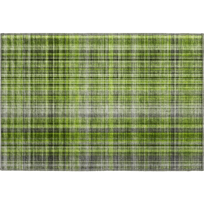 Tapis vert lavable de première qualité AMF541 1 pi 8 po x 2 pi 6 po Cerrito