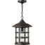 Freeport 1-Light Outdoor Hanging Lantern-2091150840-2091150847