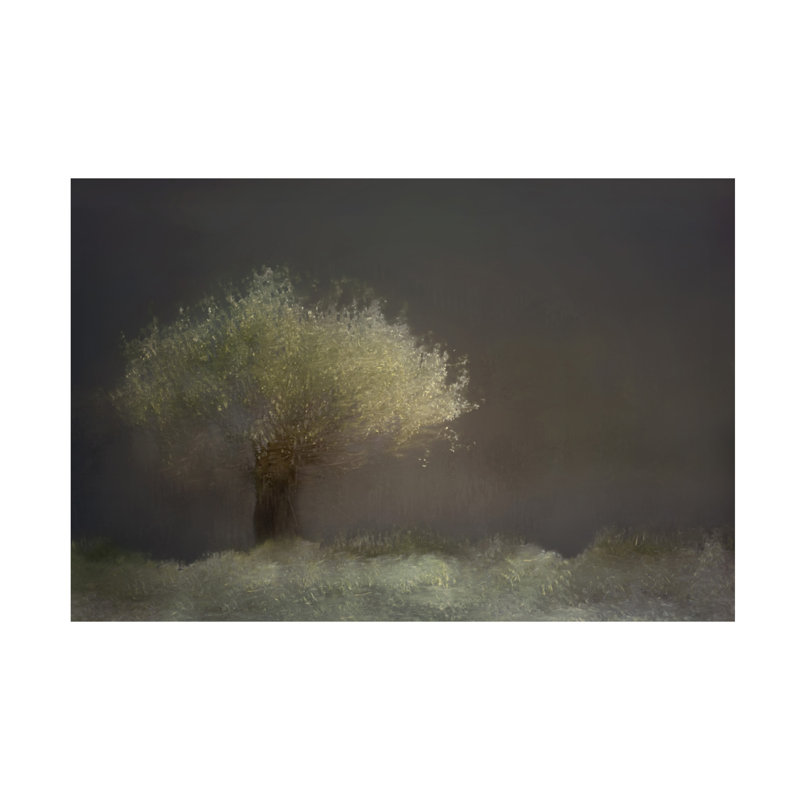Art sur toile Mariruth Gaille, H 12 po x l 19 po x P 2 po