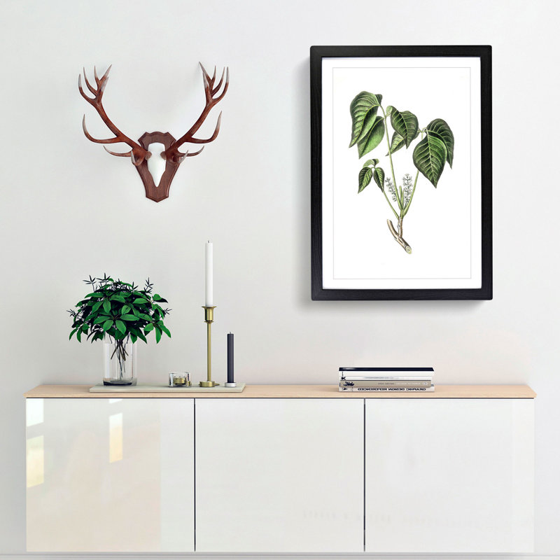 Poison Ivy Illustration - Picture Frame Painting Print, 48cm H x 36cm W x 2cm D, Black Framed