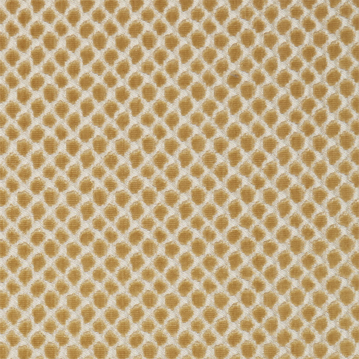 Tissu moderne en velours Etosha, Palomino