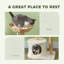 Arbre à chat moderne de 37 pouces avec poteaux à griffer en bois, condo, lits, coussins, boules de jouets et ensemble anti-basculement