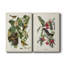 Pl 12 Baltimore Oriole - Toile tendue avec châssis de qualité supérieure - prête à être accrochée-1053455909
