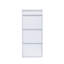 6 Pair Shoe Storage Cabinet
