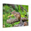 No Frame Print on Canvas-653752558