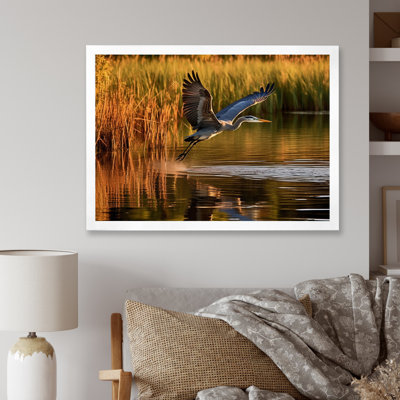 " Heron In Delaware Lakes "