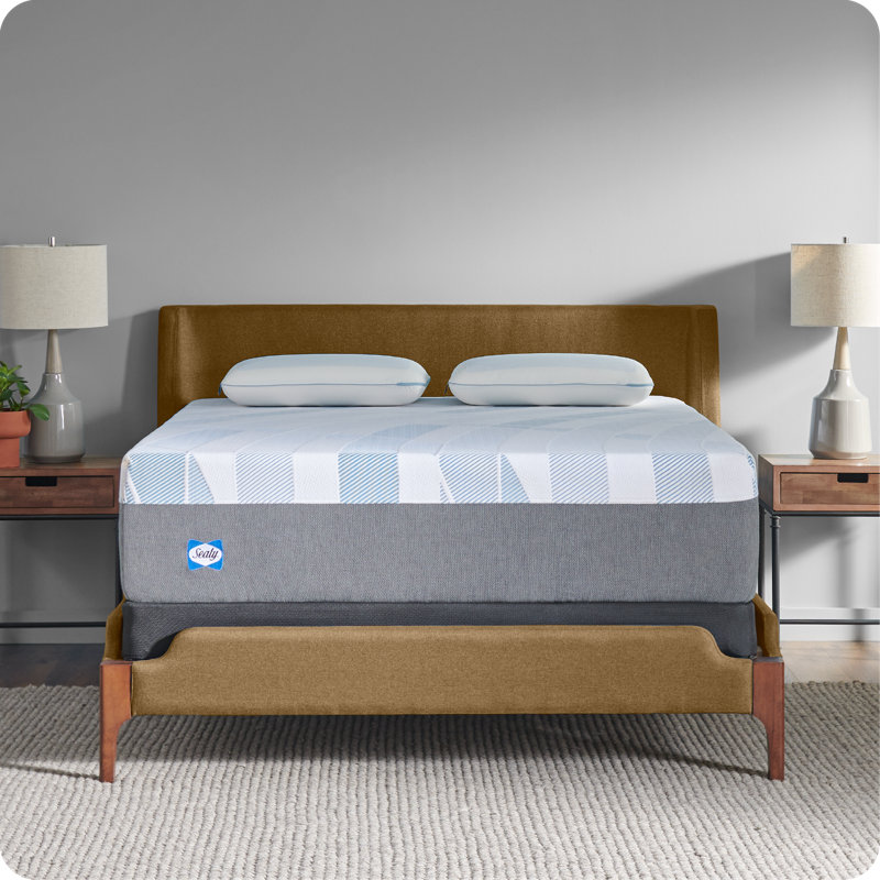 Sealy Dreamlife 14” Plush Foam Mattress-in-a-Box, King
